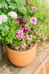 Similar image 21312426