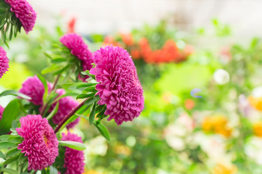 Similar image 21312427