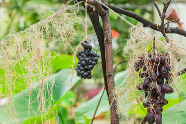 Similar image 21312430