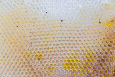 Similar image 21312432