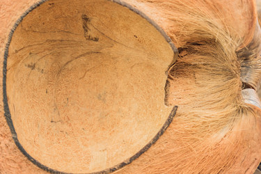 Similar image 21312434