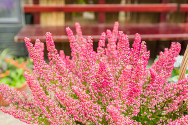 Similar image 21297276