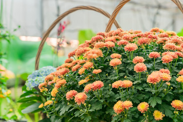 Similar image 21297278