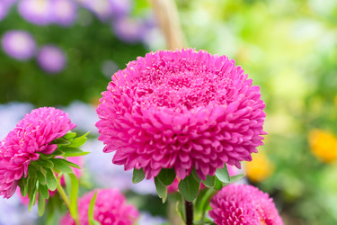 Similar image 21297279