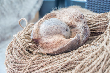 Similar image 21297281