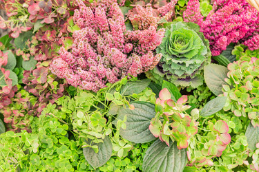 Similar image 21297282