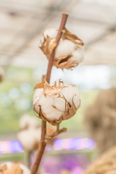 Similar image 21297293