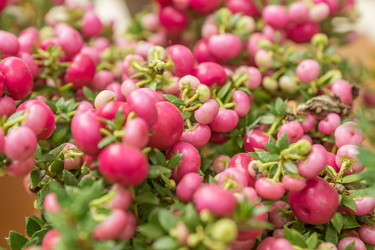 Similar image 21297295