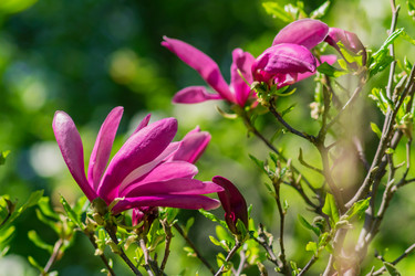 Similar image 21297301