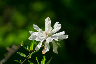 Similar image 21309109