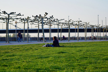 Similar image 21336097