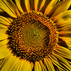 Similar image 21343108