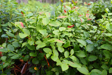 Similar image 21343148