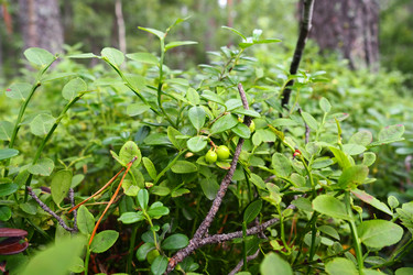 Similar image 21343150