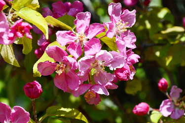 Similar image 21314204