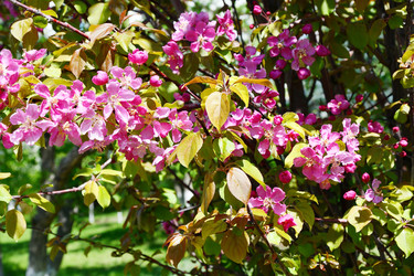 Similar image 21314212