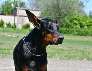 Similar image 21314213