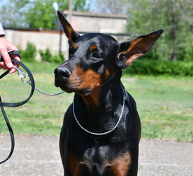 Similar image 21314217