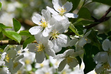 Similar image 21314252