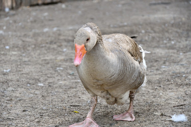 Similar image 21314345