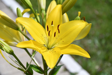 Similar image 21314346