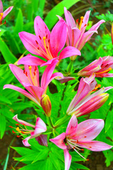 Similar image 21314347