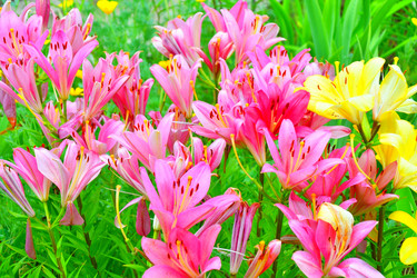 Similar image 21314348