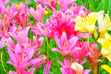 Similar image 21314404