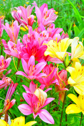 Similar image 21314407