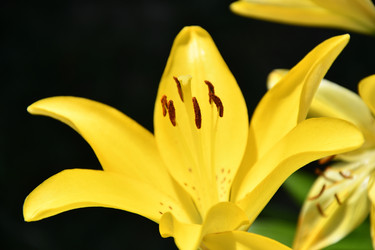 Similar image 21314445