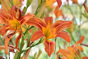 Similar image 21315483