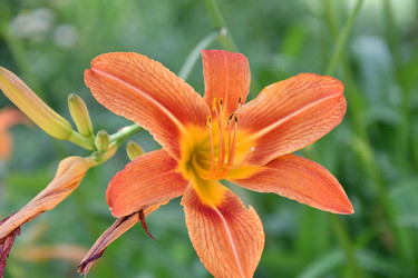 Similar image 21315484