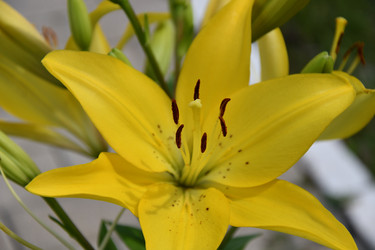 Similar image 21315496