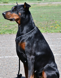 Similar image 21315497