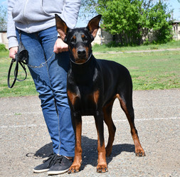 Similar image 21315501