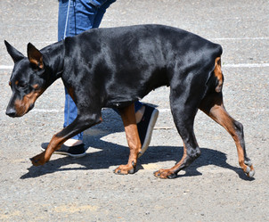 Similar image 21315508