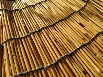 Similar image 21343109