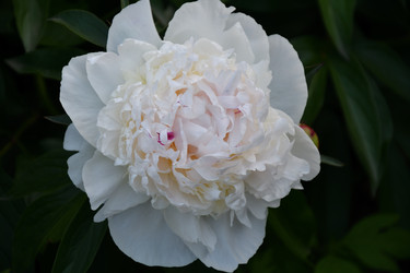 Similar image 21295353