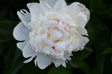 Similar image 21295354