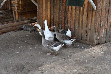 Similar image 21308893