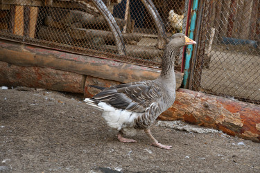 Similar image 21314110