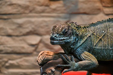 Similar image 21314111