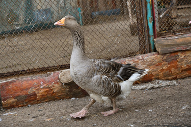 Similar image 21314112