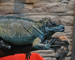 Similar image 21314113