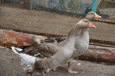 Similar image 21314114