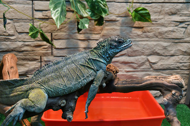 Similar image 21314115