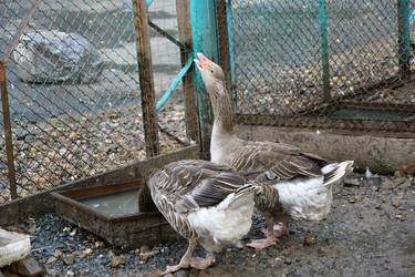 Similar image 21314116