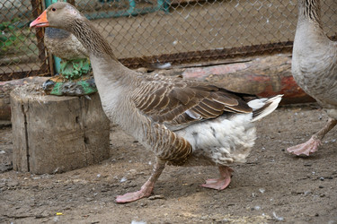 Similar image 21314118