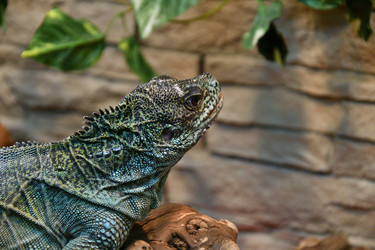 Similar image 21314161