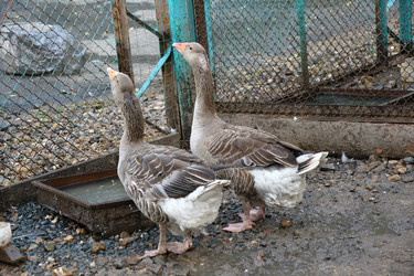 Similar image 21314162